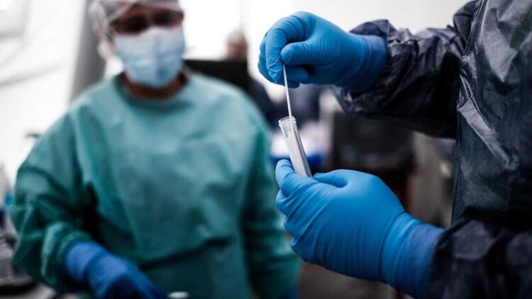 Moçambique adere a plataforma para verificação da autenticidade de testes 11 Moçambique adere a plataforma para verificação da autenticidade de testes