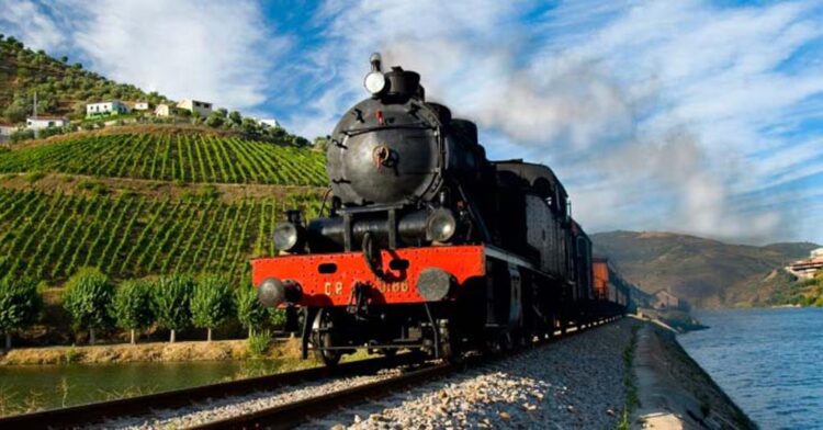 Património Mundial foi “mola” impulsionadora do enoturismo no Douro 11 Património Mundial foi “mola” impulsionadora do enoturismo no Douro