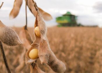 Brasil. Exportações de soja bateram recorde em 2021