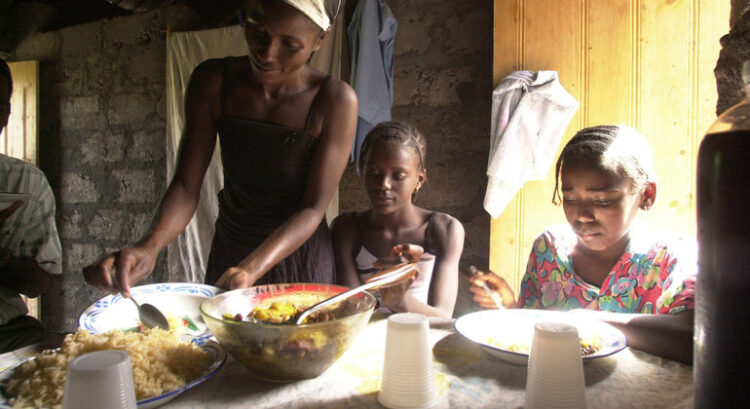 CPLP quer mais jovens na ação em favor da eficiência de sistemas alimentares 11 CPLP quer mais jovens na ação em favor da eficiência de sistemas alimentares