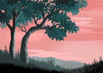 Escola chinesa explora contos de Sophia de Mello Breyner Andresen