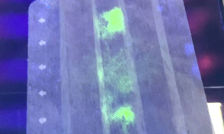 Investigadores japoneses desenvolvem máscara “que brilha” se estiver positivo à Covid-19 11 Investigadores japoneses desenvolvem máscara “que brilha” se estiver positivo à Covid-19