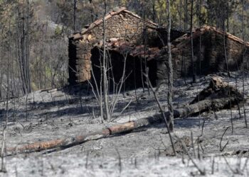Pedrógão Grande: Decisão do tribunal sobre reconstrução das casas conhecida na segunda-feira