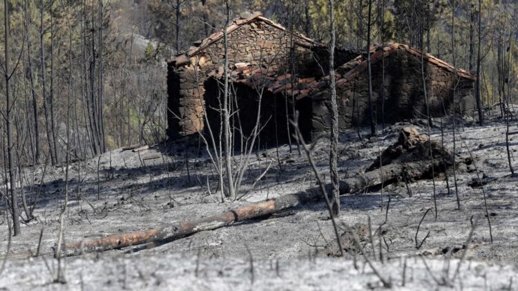 Pedrógão Grande: Decisão do tribunal sobre reconstrução das casas conhecida na segunda-feira