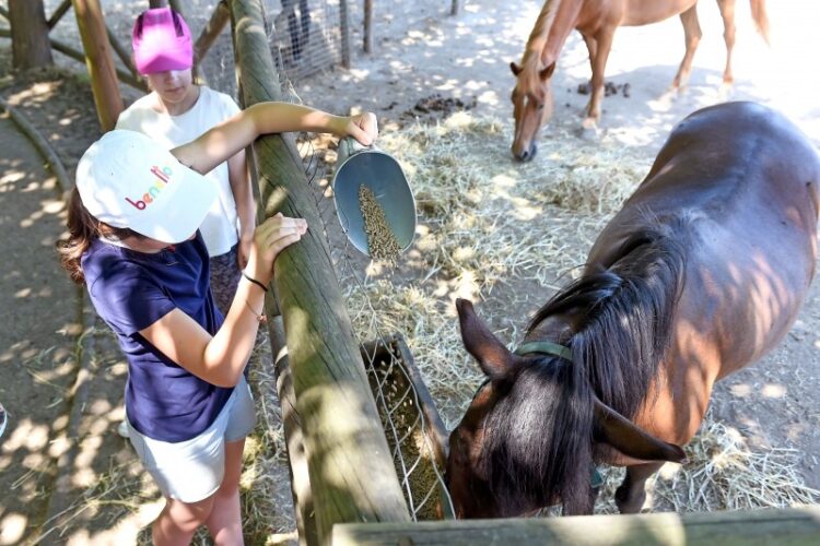 Quinta Pedagógica de Braga candidata a prémio internacional