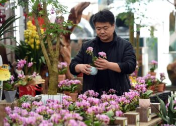 População idosa da China a aumentar na próxima década