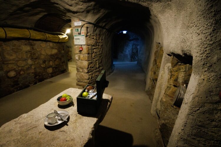 Foto: Pedro Sarmento Costa/ Lusa