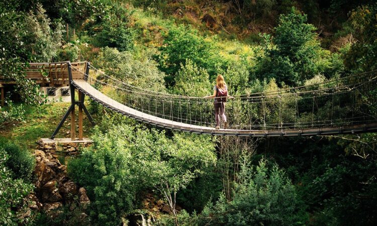 Catálogo de Investigação desenvolvido pela Rede de Geoparques Mundiais UNESCO portugueses