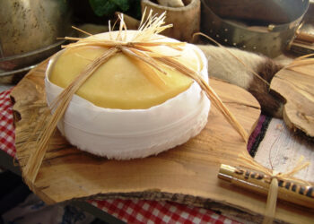 Gouveia vai ter edifício em "reconhecimento" ao Queijo Serra da Estrela