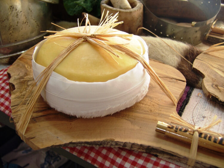 Gouveia vai ter edifício em "reconhecimento" ao Queijo Serra da Estrela 11 Gouveia vai ter edifício em "reconhecimento" ao Queijo Serra da Estrela