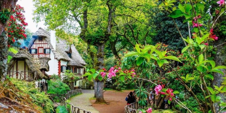 Madeira inicia processo de certificação para se tornar destino turístico sustentável 11 Madeira inicia processo de certificação para se tornar destino turístico sustentável