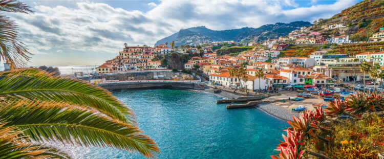 Madeira vai estar na BTL “de olhos postos no futuro” 11 Madeira vai estar na BTL “de olhos postos no futuro”