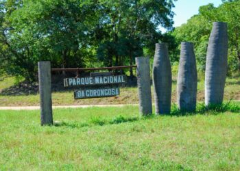 Moçambique. Japão e Parque da Gorongosa apoiam educação para consolidar a paz