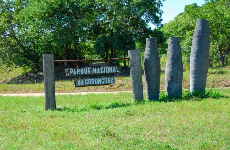 Moçambique. Japão e Parque da Gorongosa apoiam educação para consolidar a paz 11 Moçambique. Japão e Parque da Gorongosa apoiam educação para consolidar a paz