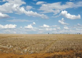 Espetáculo que aborda escassez de água no futuro estreia em Coimbra