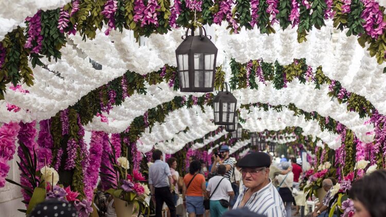 Flores de papel de Campo Maior na UNESCO e "no sangue" do povo raiano