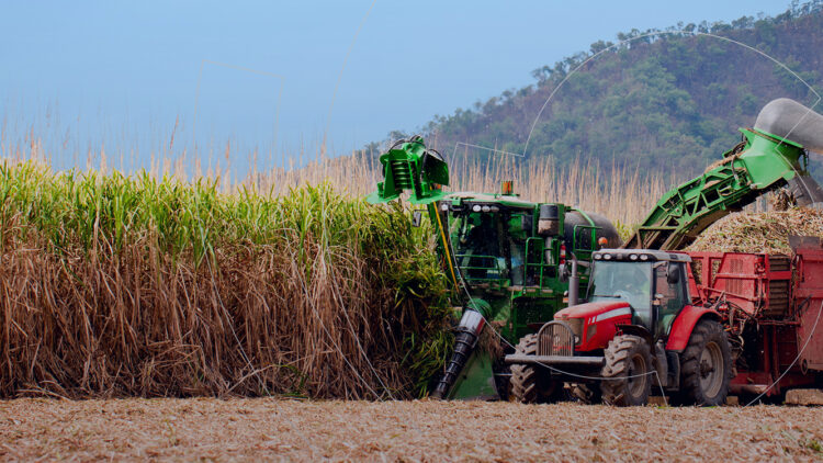 Moçambique. Governo e Eni assinam acordo para produção de biocombustíveis 11 Moçambique. Governo e Eni assinam acordo para produção de biocombustíveis