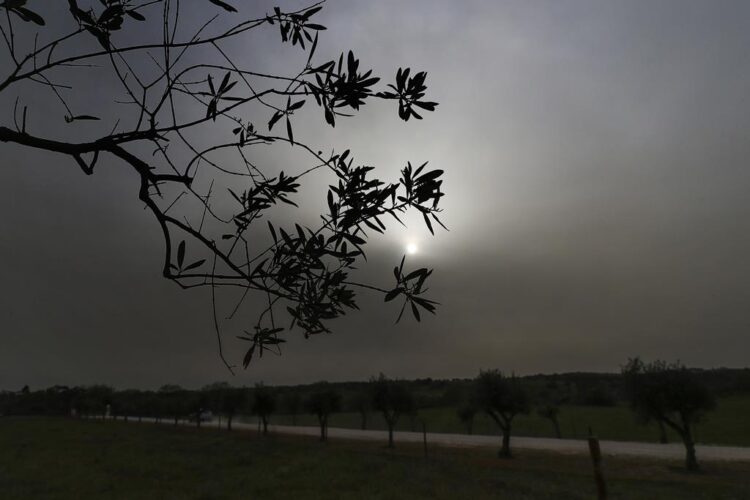 Poeiras provenientes do Norte de África comprometem qualidade do ar. Autoridades alertam para cuidados redobrados 11 Poeiras provenientes do Norte de África comprometem qualidade do ar. Autoridades alertam para cuidados redobrados