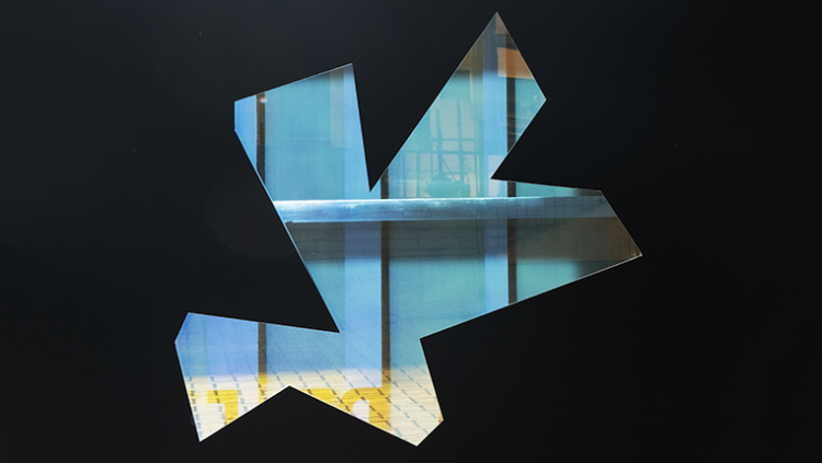 Universidade Católica e Serralves apresentam exposição de João Paulo Feliciano 11 Universidade Católica e Serralves apresentam exposição de João Paulo Feliciano