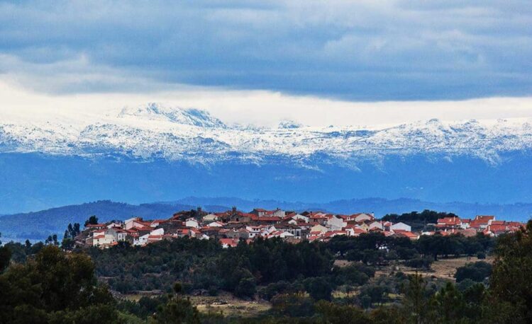 Câmara de Comércio promove as Beiras em evento on-line em parceria com entidades brasileiras