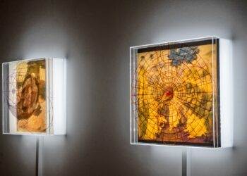 “Da Vinci Simulacrum” de Margarida Sardinha inaugura no Museu Ibérico de Arqueologia e Arte