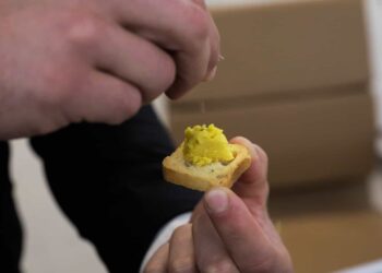 Empresa portuguesa cria ovo 100% vegetal que substitui o tradicional