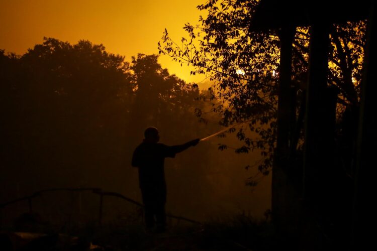 Foto: Tony Dias/Global Imagens