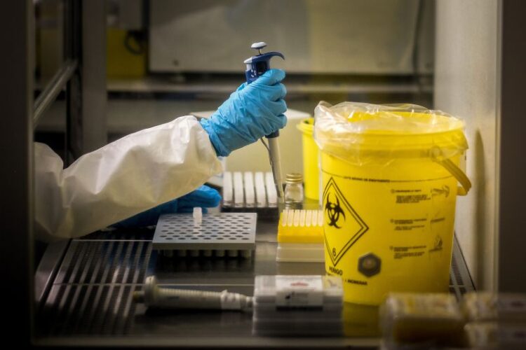 Bélgica torna-se o primeiro país a declarar quarentena de 21 dias para casos de varíola dos macacos