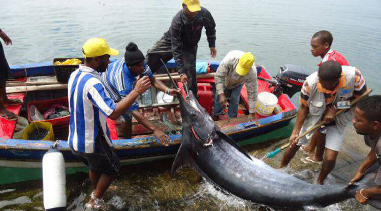 CPLP vai adotar resolução para plataforma de combate à pesca ilegal 11 CPLP vai adotar resolução para plataforma de combate à pesca ilegal