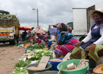 FMI defende continuação de reformas na economia moçambicana