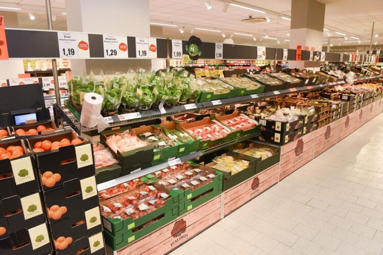 Lidl investe cerca de 2 milhões na formação dos futuros colaboradores da Madeira 11 Lidl investe cerca de 2 milhões na formação dos futuros colaboradores da Madeira