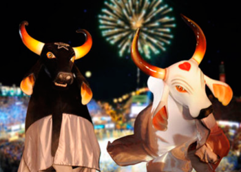 Brasil. Portugueses convidados a visitar o festival folclórico mais colorido da Amazónia