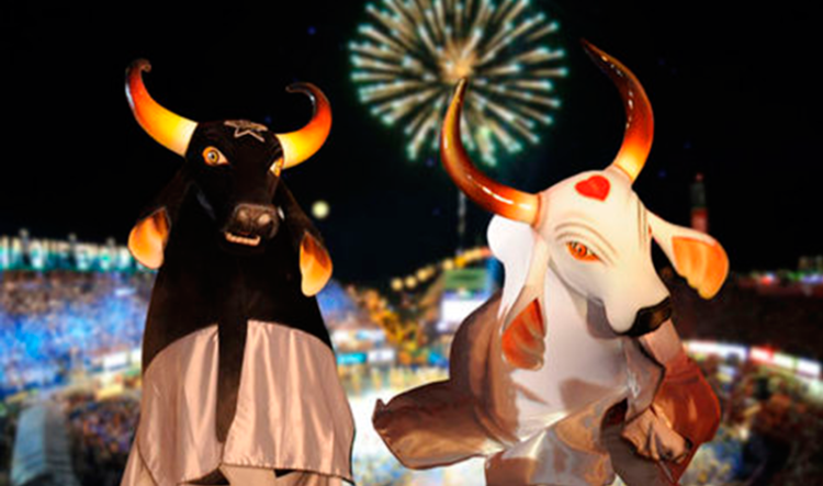 Brasil. Portugueses convidados a visitar o festival folclórico mais colorido da Amazónia 11 Brasil. Portugueses convidados a visitar o festival folclórico mais colorido da Amazónia