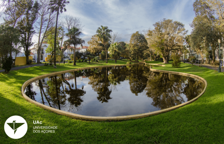 Constituição de sociedade comercial como meio para a criação do próprio emprego em debate nos Açores 11 Constituição de sociedade comercial como meio para a criação do próprio emprego em debate nos Açores