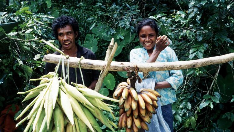 Diáspora timorense pode apoiar diversificação da economia