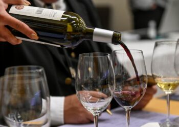 Comerciantes e exportadores de vinhos pedem demissão da ministra da Agricultura