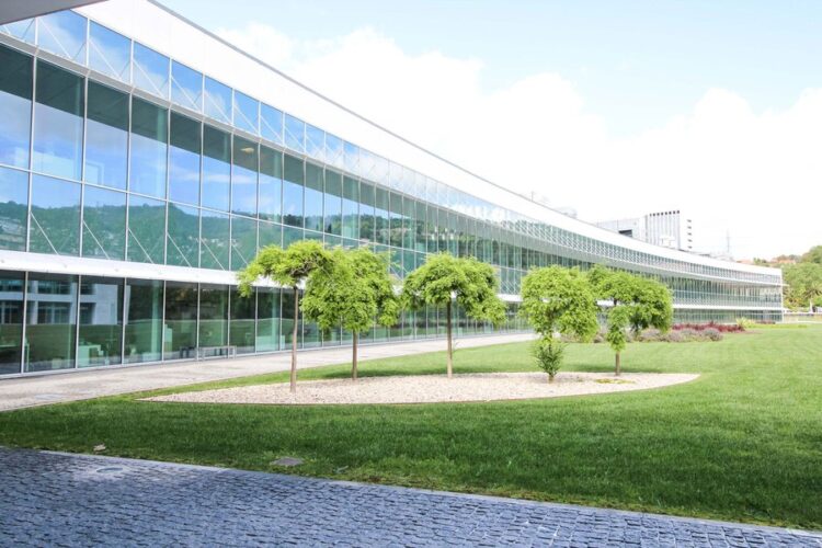 Futuro centro ibérico de armazenamento energético “vai atrair talento internacional" diz ministra da Ciência 11 Futuro centro ibérico de armazenamento energético “vai atrair talento internacional" diz ministra da Ciência