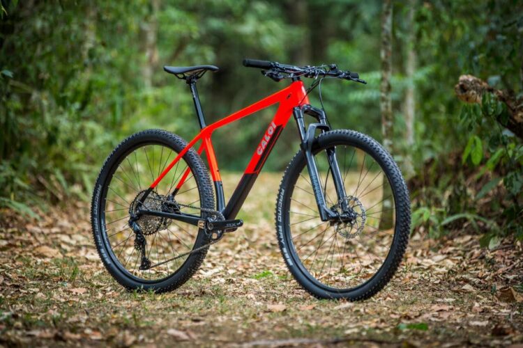 O que é que Portugal, Alemanha e Taiwan têm em comum? O projeto “Carbon Team” para bicicletas 11 O que é que Portugal, Alemanha e Taiwan têm em comum? O projeto “Carbon Team” para bicicletas