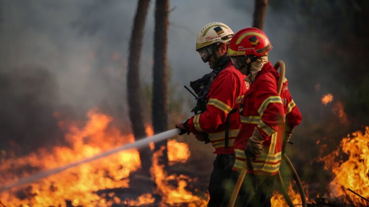 Engenheiro eletrotécnico condenado a 25 anos de prisão por atear 16 incêndios na região Centro 11 Engenheiro eletrotécnico condenado a 25 anos de prisão por atear 16 incêndios na região Centro