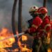 Engenheiro eletrotécnico condenado a 25 anos de prisão por atear 16 incêndios na região Centro 22 Engenheiro eletrotécnico condenado a 25 anos de prisão por atear 16 incêndios na região Centro