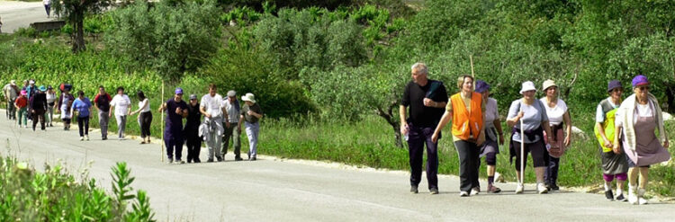 Bispo brasileiro de Fall River preside à peregrinação de agosto em Fátima