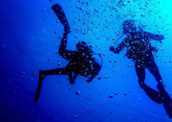 Campeonato da Europa de Fotografia Subaquática vai realizar-se na Madeira