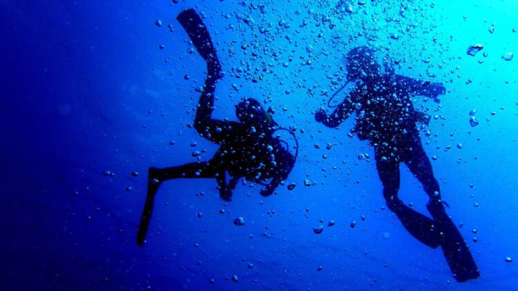 Campeonato da Europa de Fotografia Subaquática vai realizar-se na Madeira 11 Campeonato da Europa de Fotografia Subaquática vai realizar-se na Madeira
