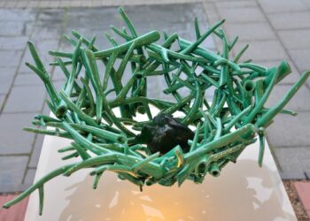 Ceramista portuguesa vence medalha de ouro em festival no País de Gales