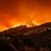 Incêndios queimaram mais de 110 mil hectares de floresta, valor mais elevado desde 2017 22 Incêndios queimaram mais de 110 mil hectares de floresta, valor mais elevado desde 2017