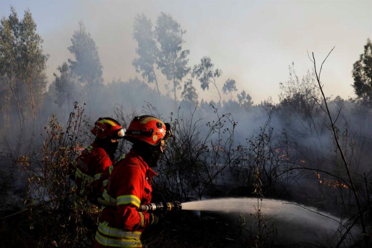 Vaga de calor em Portugal: MAI apela à responsabilidade cívica para evitar fogos 11 Vaga de calor em Portugal: MAI apela à responsabilidade cívica para evitar fogos