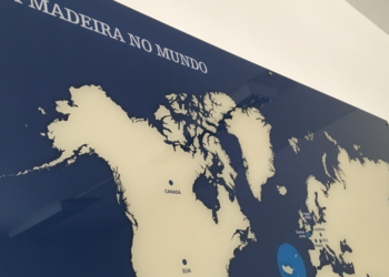 Conselho da Diáspora Madeirense quer que emigrantes votem nas eleições legislativas regionais