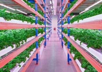 Emirates abre a maior quinta vertical do mundo no Dubai