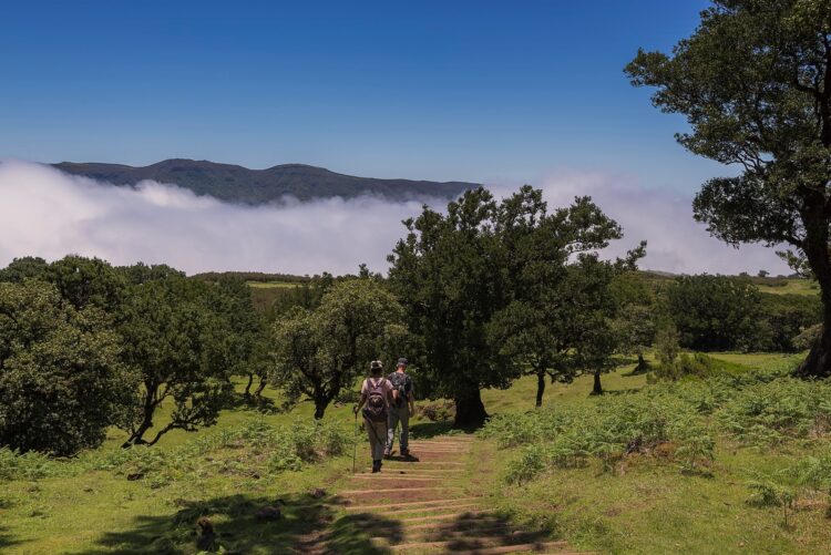 Férias em Portugal: Uma Madeira alternativa