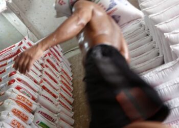 Japão assina com Governo são-tomense doação de 1.150 toneladas de arroz